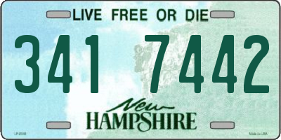 NH license plate 3417442