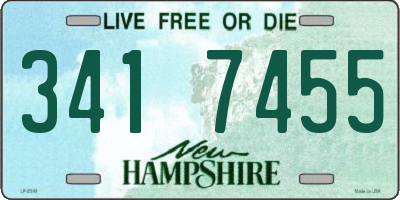 NH license plate 3417455