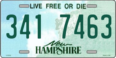 NH license plate 3417463