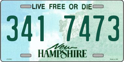 NH license plate 3417473