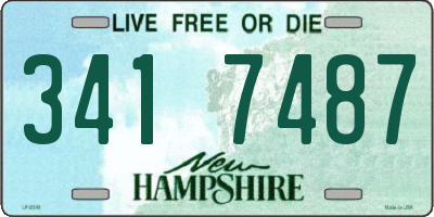 NH license plate 3417487