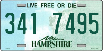 NH license plate 3417495