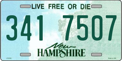 NH license plate 3417507