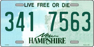 NH license plate 3417563