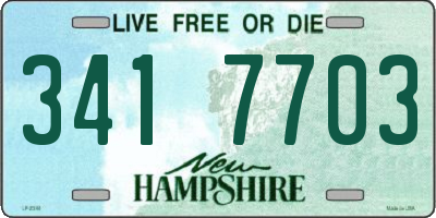 NH license plate 3417703