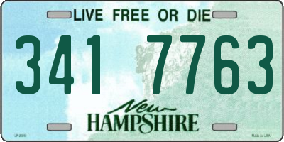 NH license plate 3417763
