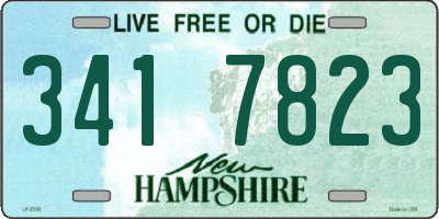 NH license plate 3417823