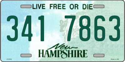 NH license plate 3417863