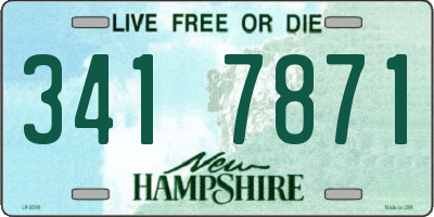 NH license plate 3417871
