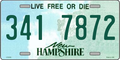 NH license plate 3417872