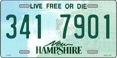 NH license plate 3417901