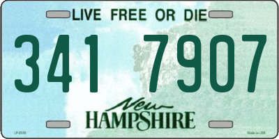 NH license plate 3417907