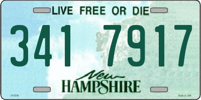 NH license plate 3417917