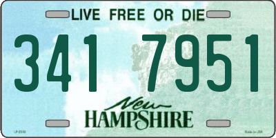 NH license plate 3417951