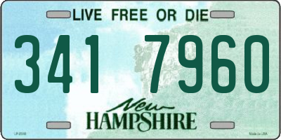 NH license plate 3417960