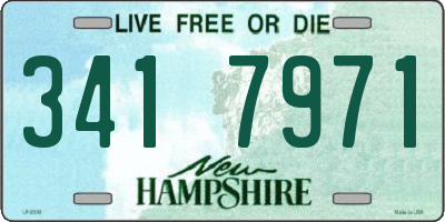 NH license plate 3417971