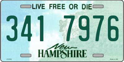 NH license plate 3417976