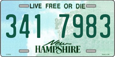 NH license plate 3417983