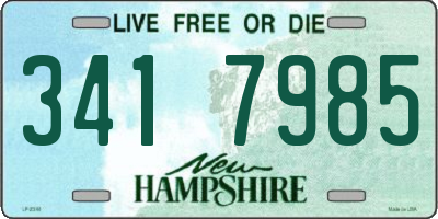 NH license plate 3417985
