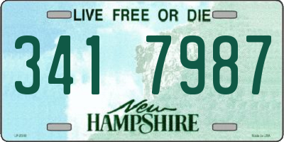 NH license plate 3417987