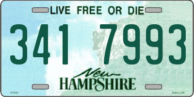 NH license plate 3417993