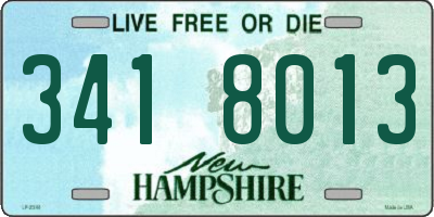 NH license plate 3418013