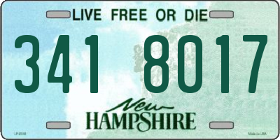 NH license plate 3418017