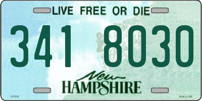 NH license plate 3418030