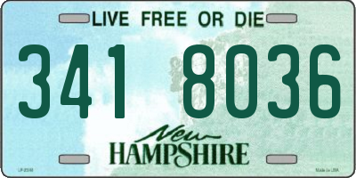 NH license plate 3418036