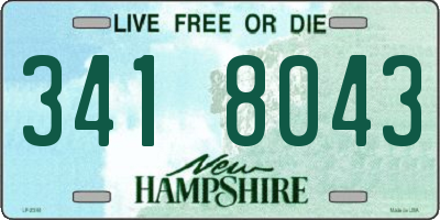 NH license plate 3418043