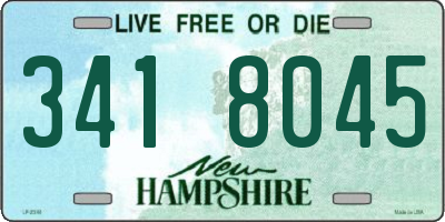 NH license plate 3418045