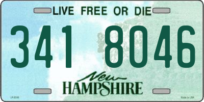 NH license plate 3418046