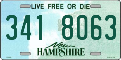 NH license plate 3418063