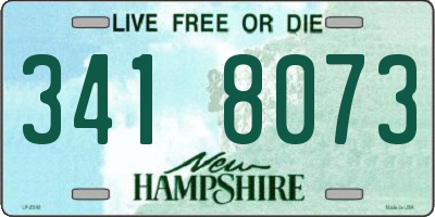 NH license plate 3418073