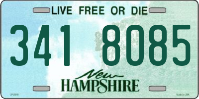 NH license plate 3418085