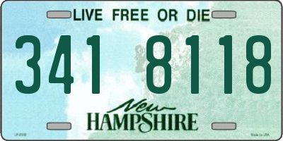 NH license plate 3418118