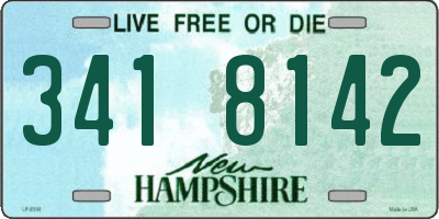 NH license plate 3418142