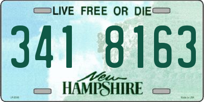 NH license plate 3418163