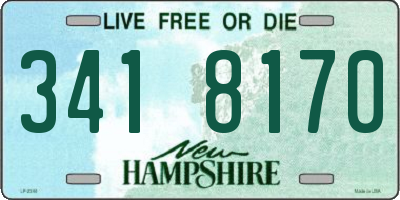 NH license plate 3418170
