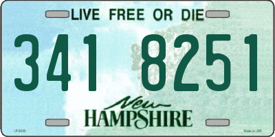 NH license plate 3418251