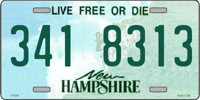 NH license plate 3418313