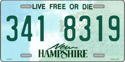 NH license plate 3418319