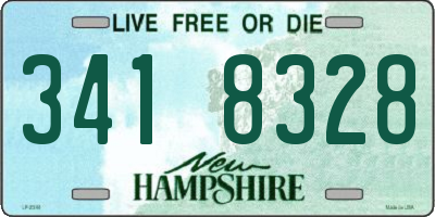 NH license plate 3418328