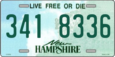 NH license plate 3418336