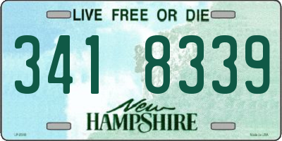 NH license plate 3418339