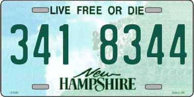 NH license plate 3418344