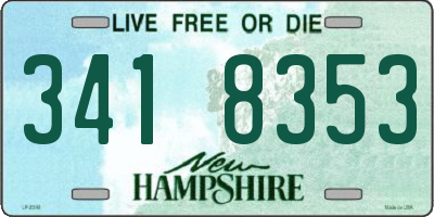 NH license plate 3418353