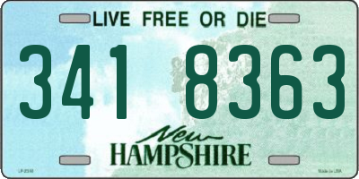 NH license plate 3418363