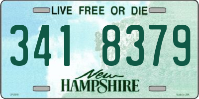 NH license plate 3418379