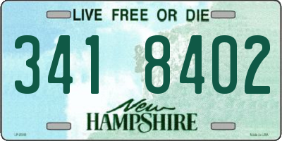 NH license plate 3418402